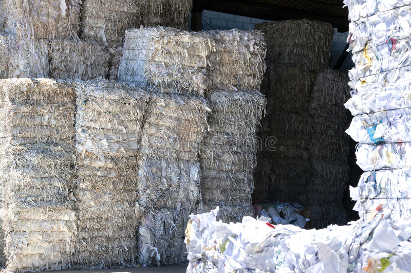 White Paper Bales